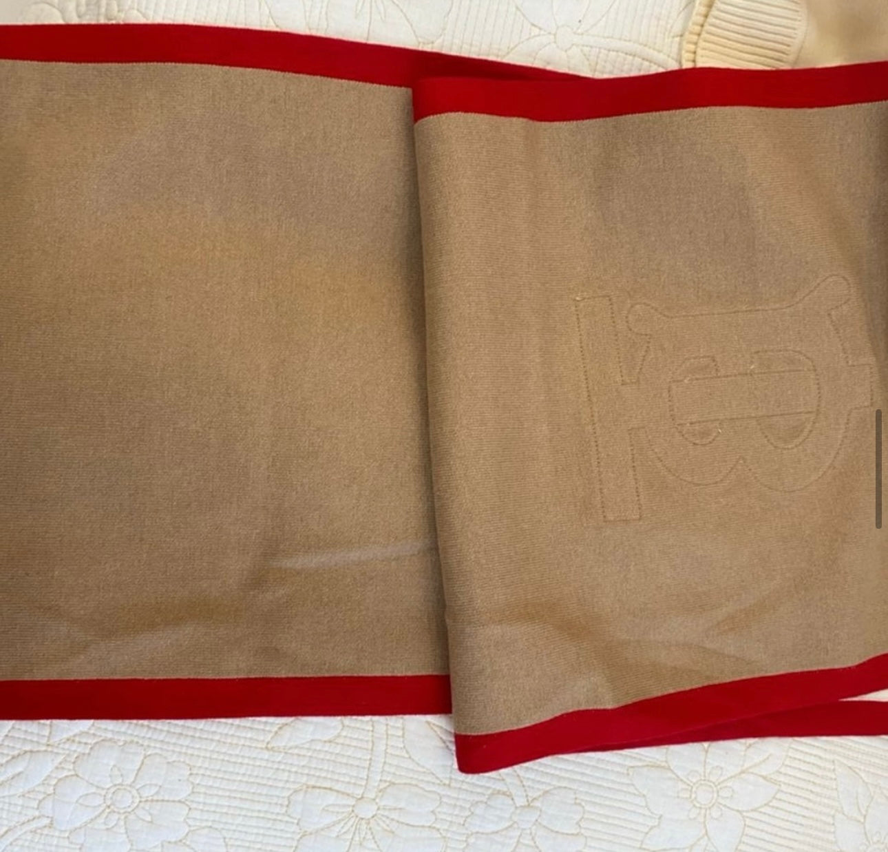 TB Logo Hooded Scarf Shawl