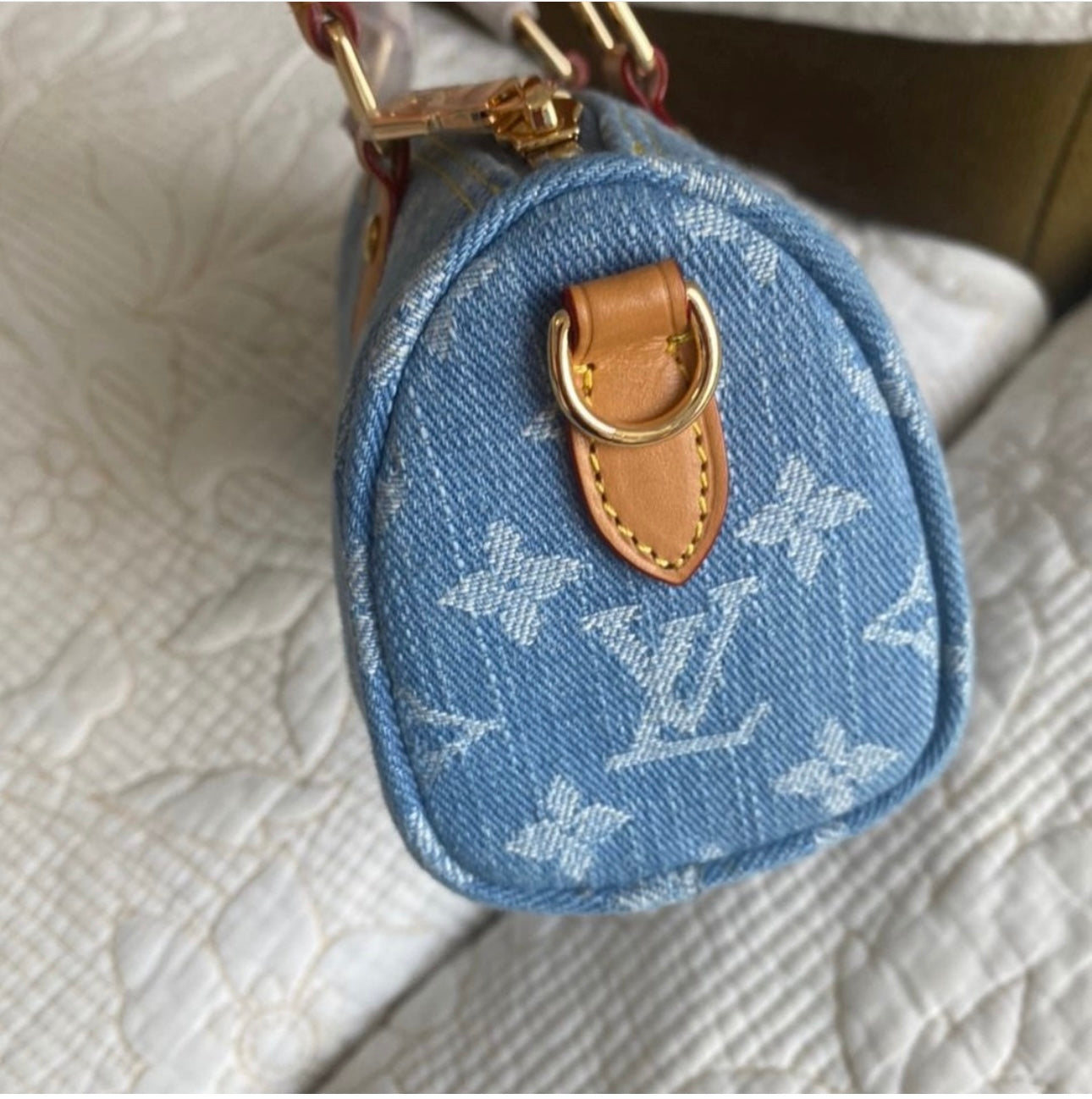 Nano Speedy Monogram Canvas