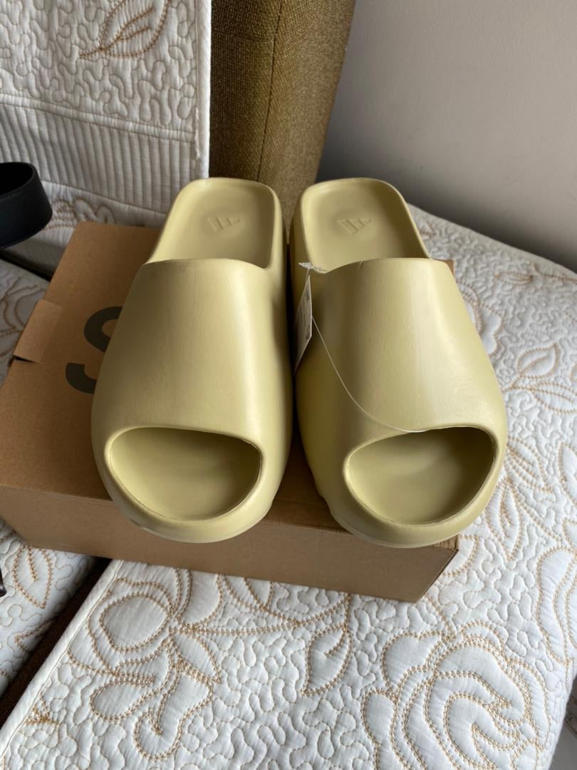 Diapositivas Ye Bone