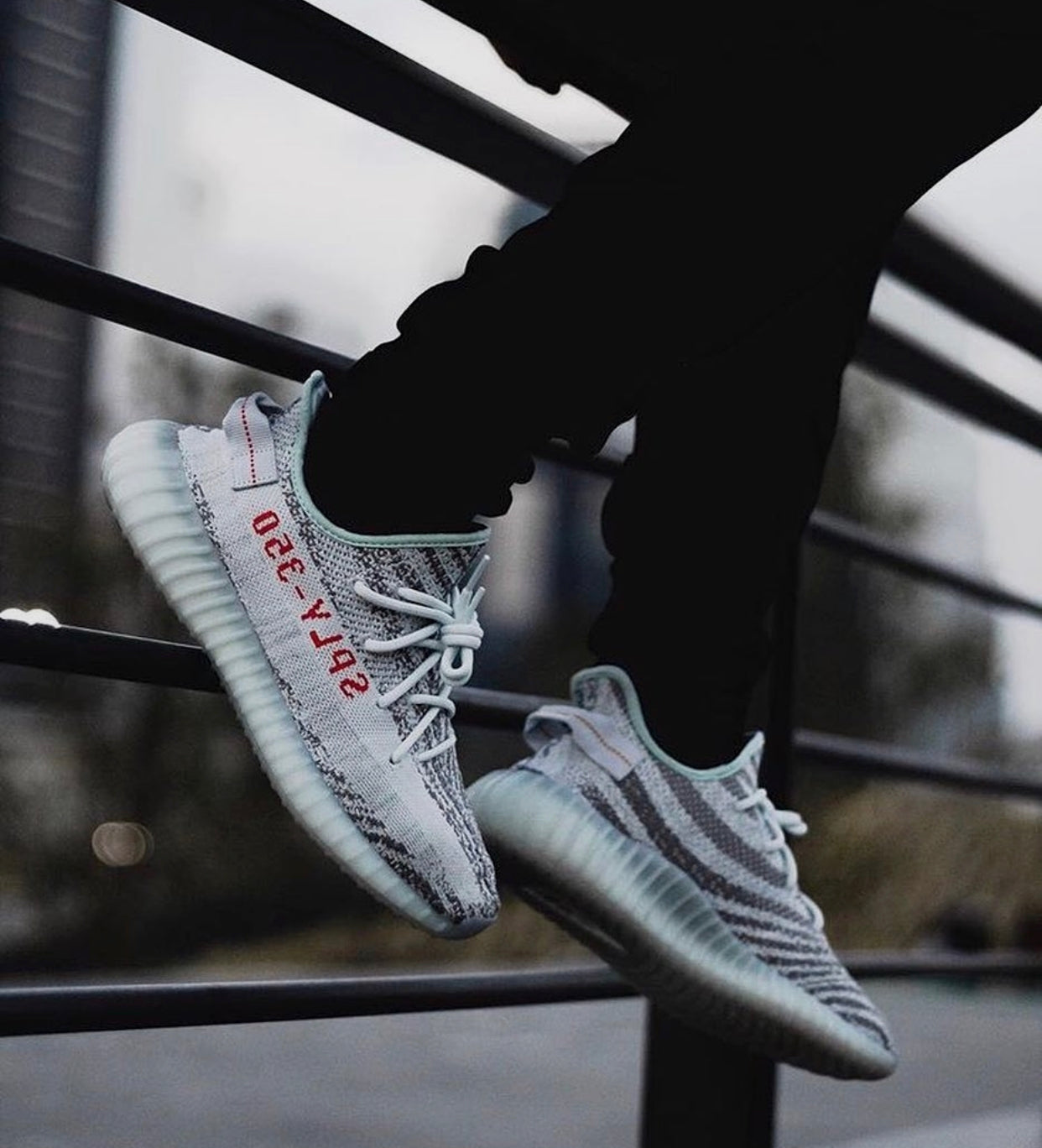 Zebra Boost 350 V2