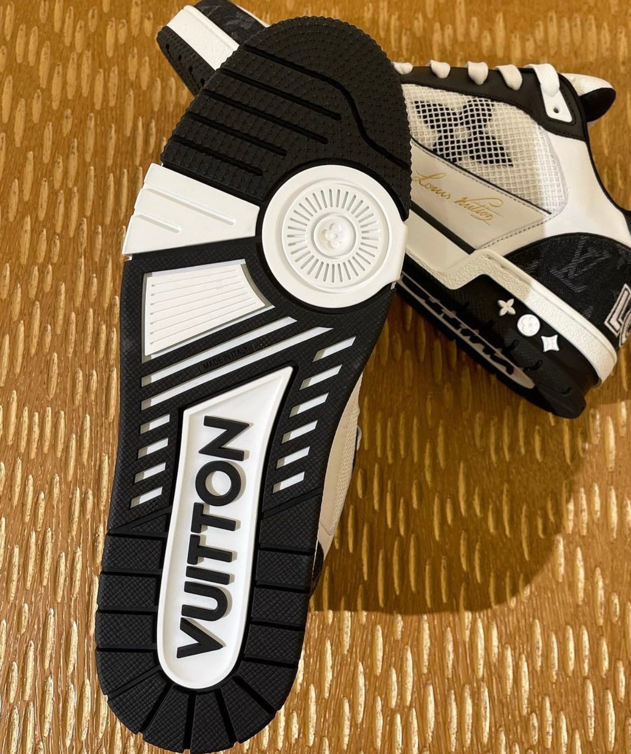 Zapatilla deportiva (varios colores)