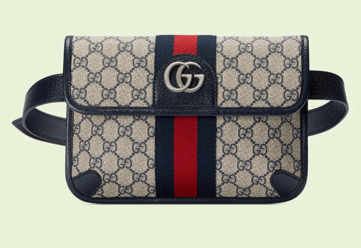 Sac ceinture Ophidia