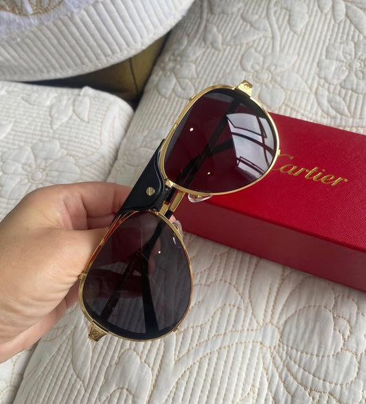 Cartier Santos de Cartier sunglasses