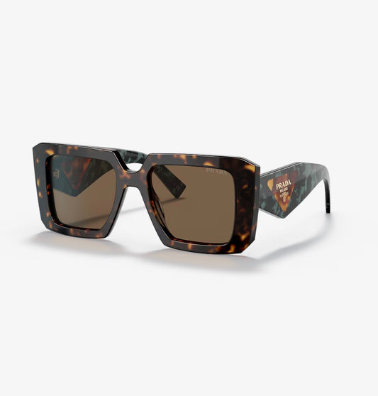 PRA Coffee/Tortoise Lenses Symbole Sunglasses