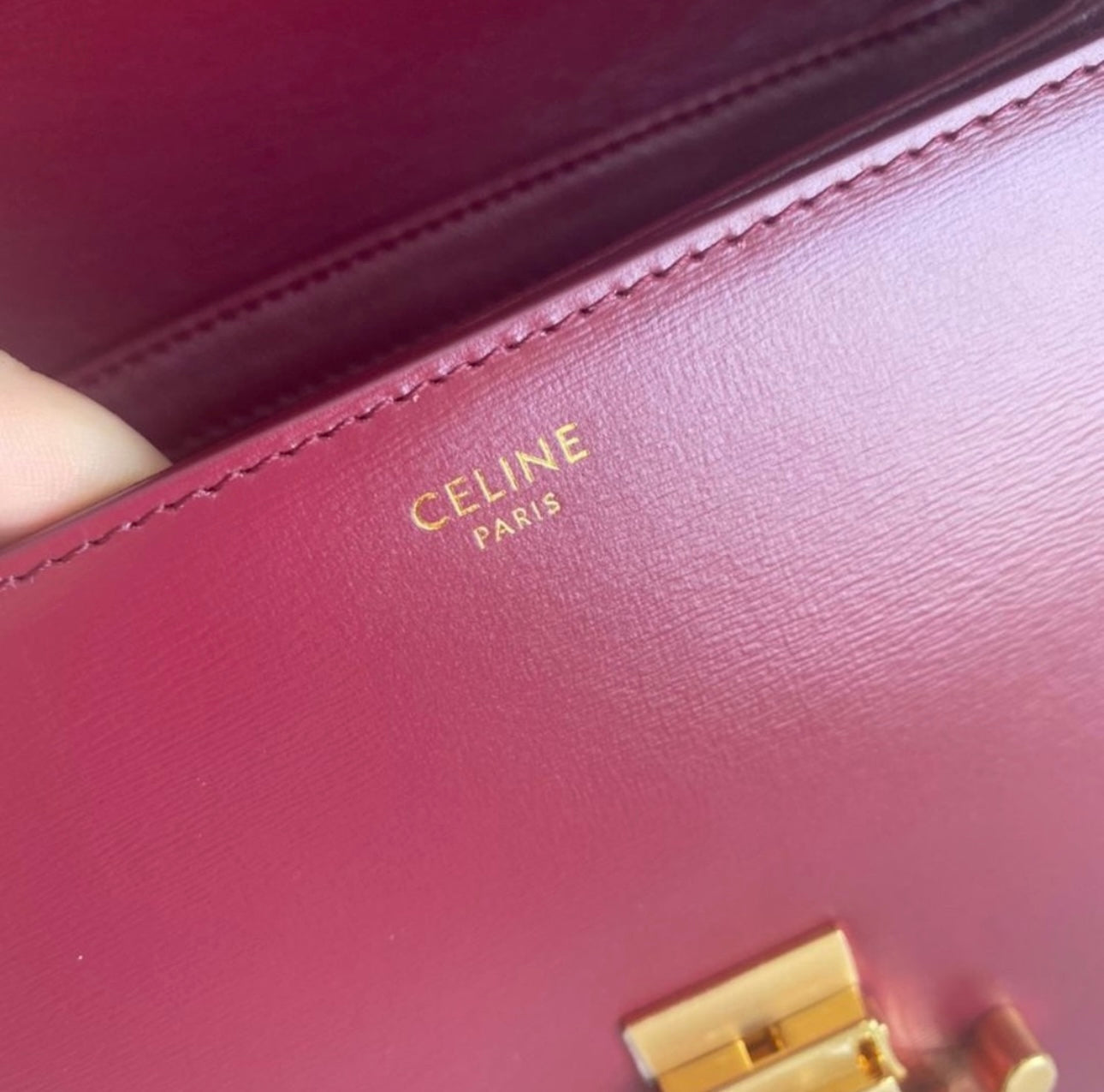 TRIOMPHE BAG IN SHINY CALFSKIN | LIGHT BURGUNDY