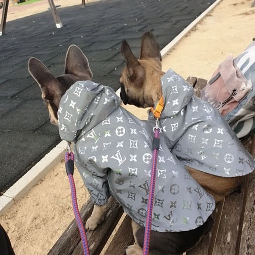 Chaqueta perrito Vuitton